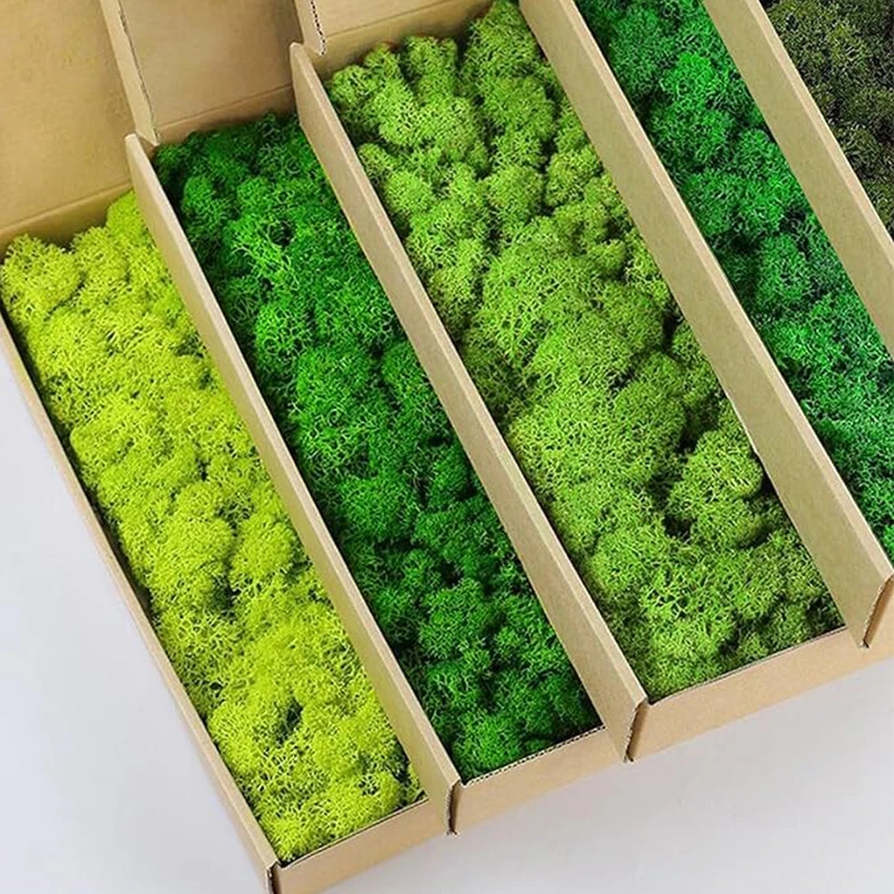 Sphagnum Moss Dry - 20–200 g künstliche grüne Pflanzen, Kunstgras,