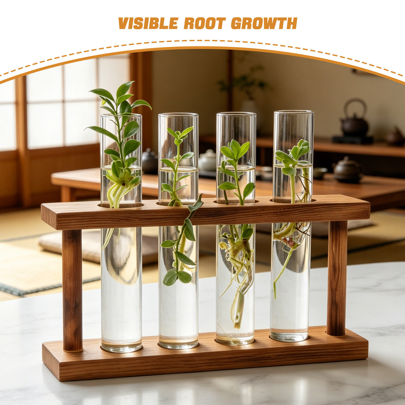 Holz-Pflanzenvermehrungsstatio – Propagation Station Vase Bewertung und Preis