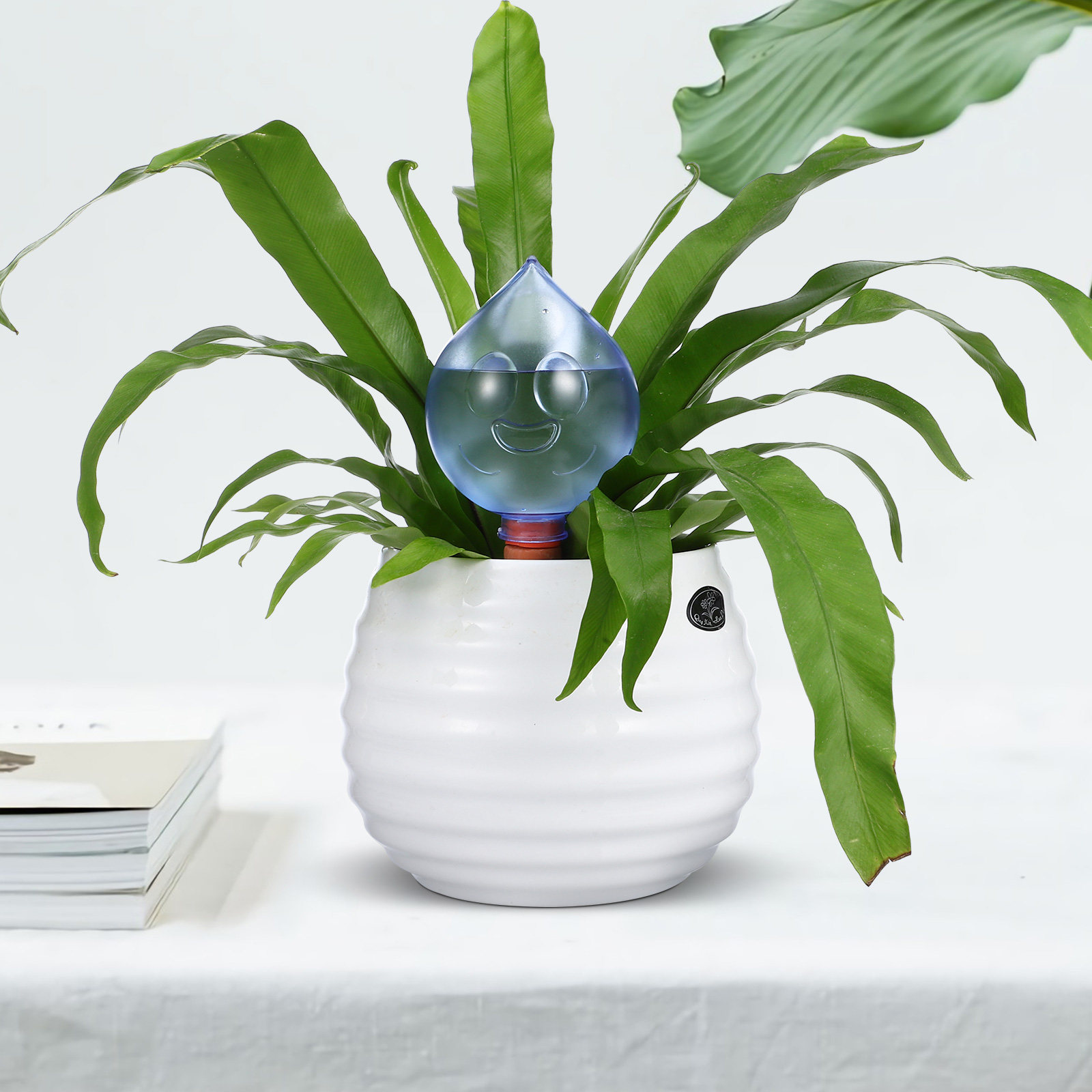 3 Stück automatische Bewässeru – Self Watering Insert Bewertung und Preis