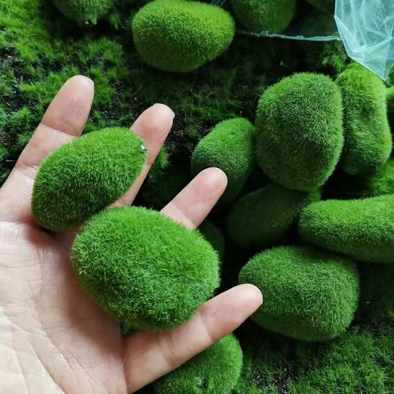 Künstliche grüne Moos steine f – Sphagnum Moss Dry Bewertung und Preis