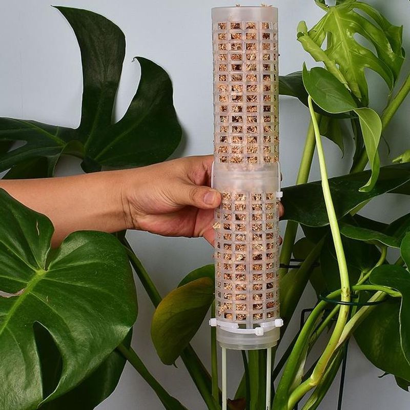 Sphagnum-Moosstange für Orchid – Sphagnum Moss Dry Bewertung und Preis