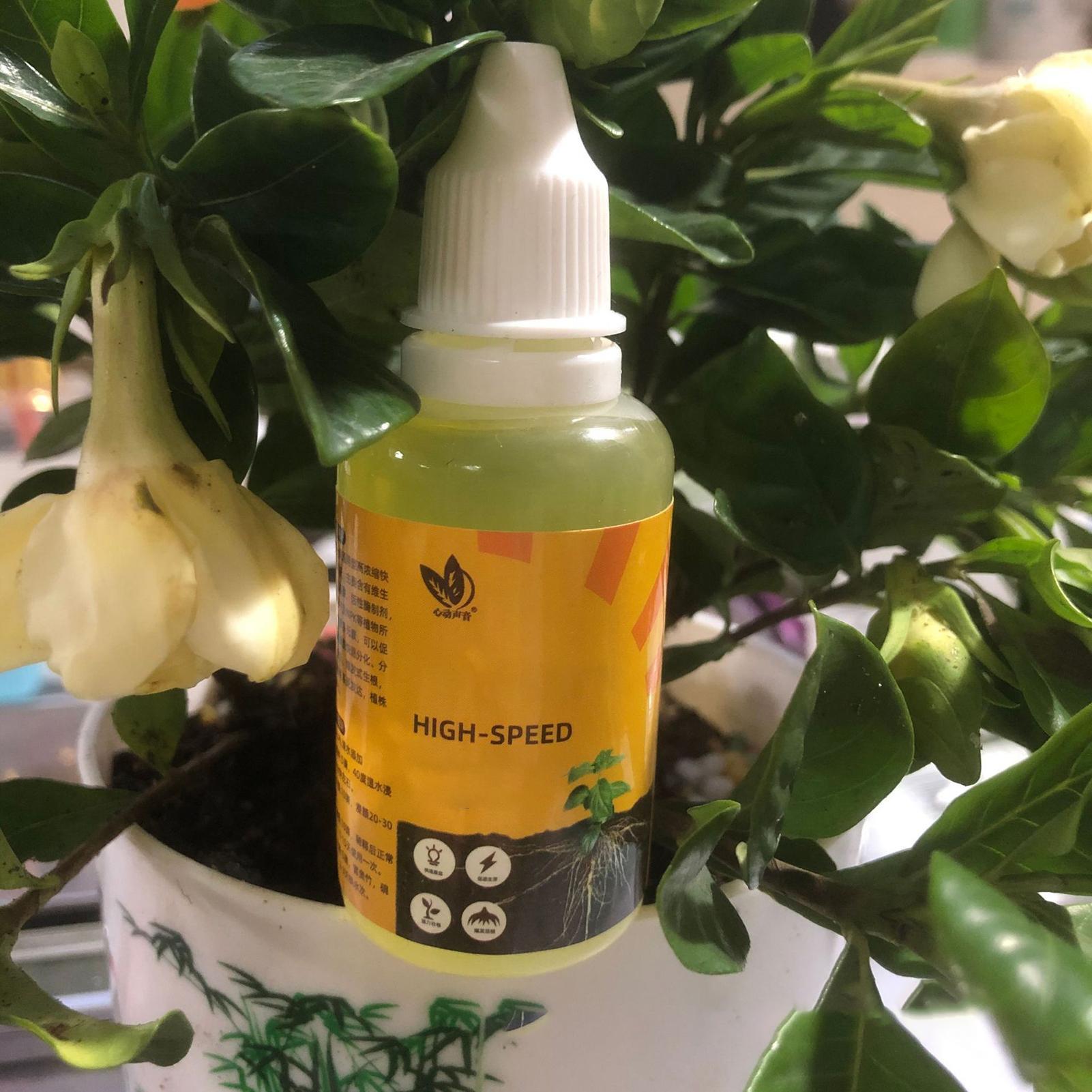 Pflanzen-Schnellbewurzelungslö – Root Stimulator Liquid Bewertung und Preis